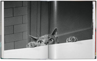 Walter Chandoha. Cats. Photographs 1942–2018 Taschen  Galerie Roschlaub