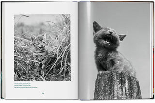 Walter Chandoha. Cats. Photographs 1942–2018 Taschen  Galerie Roschlaub